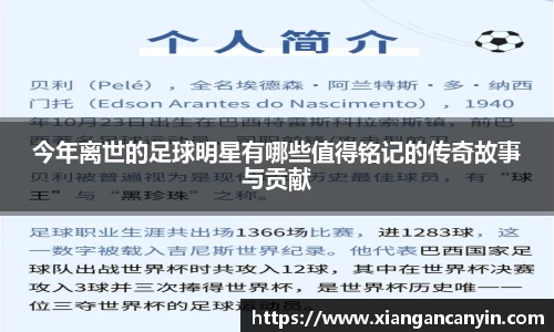 今年离世的足球明星有哪些值得铭记的传奇故事与贡献